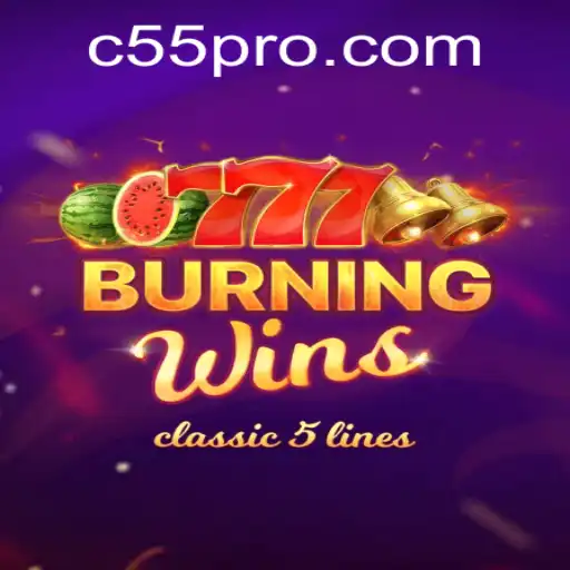 Experience Classic Casino Fun with BurningWins